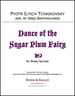 Dance of the Sugar Plum Fairy